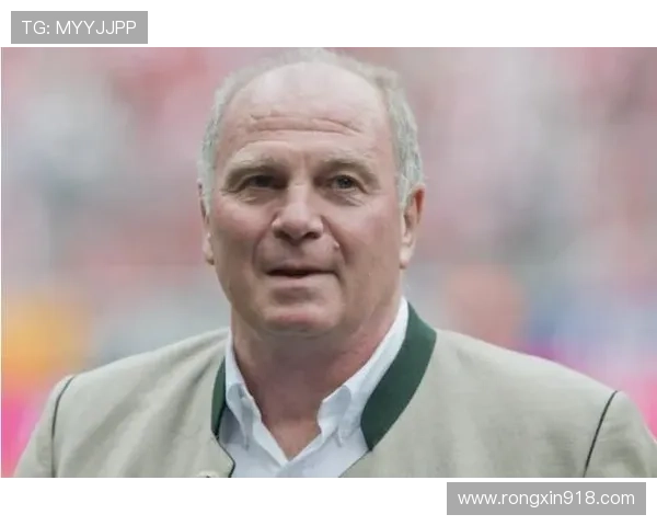 赫内斯全面批评图赫尔执教问题